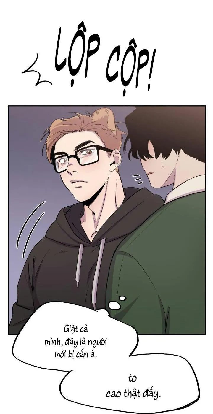 Vẫy Đuôi Chapter 16 Trang 5