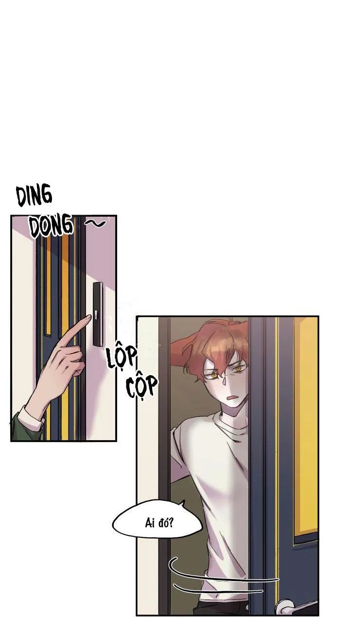 Vẫy Đuôi Chapter 16 Trang 42