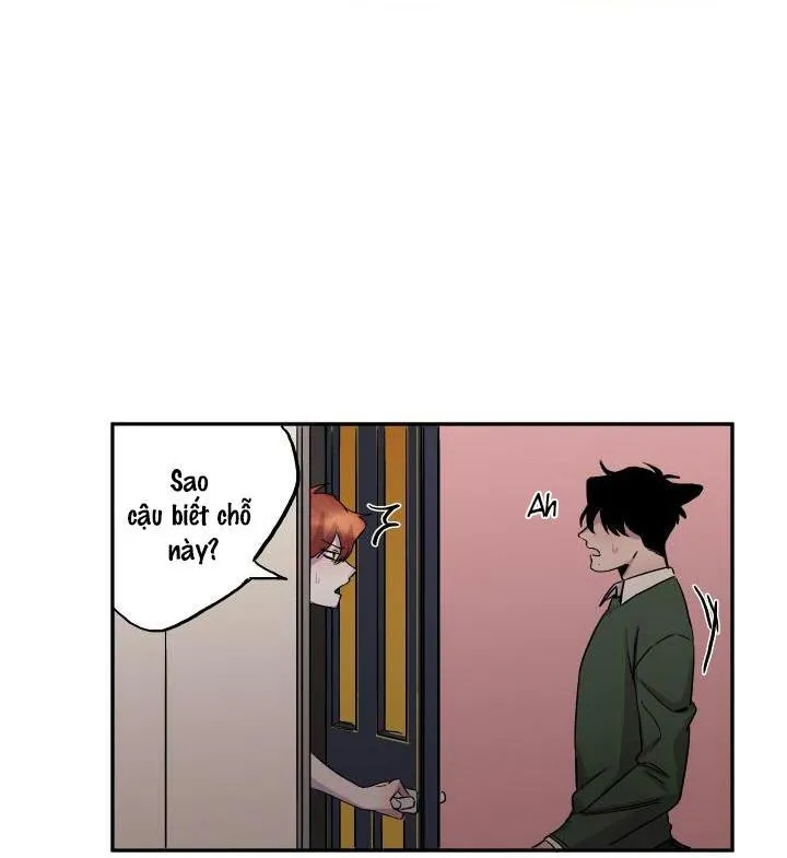 Vẫy Đuôi Chapter 16 Trang 43