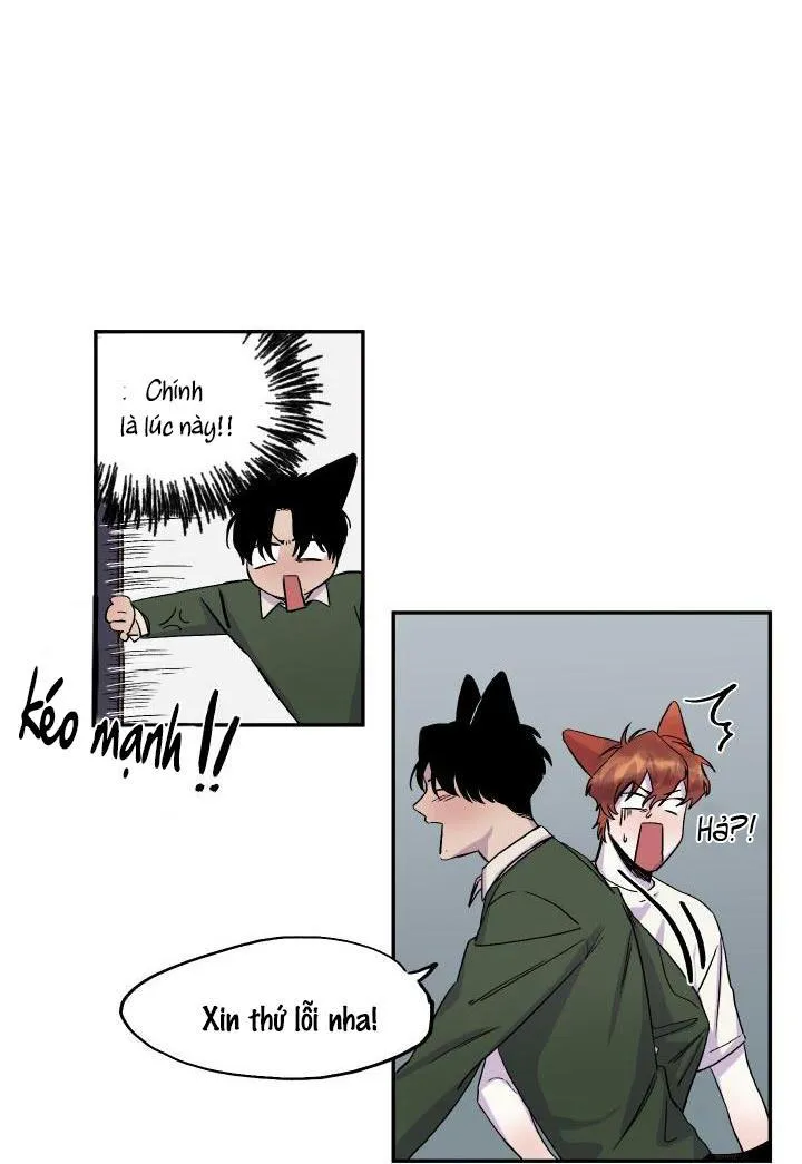 Vẫy Đuôi Chapter 16 Trang 54