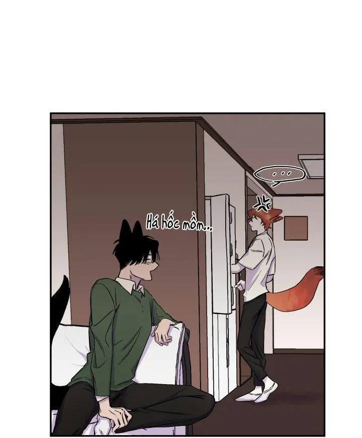 Vẫy Đuôi Chapter 16 Trang 73