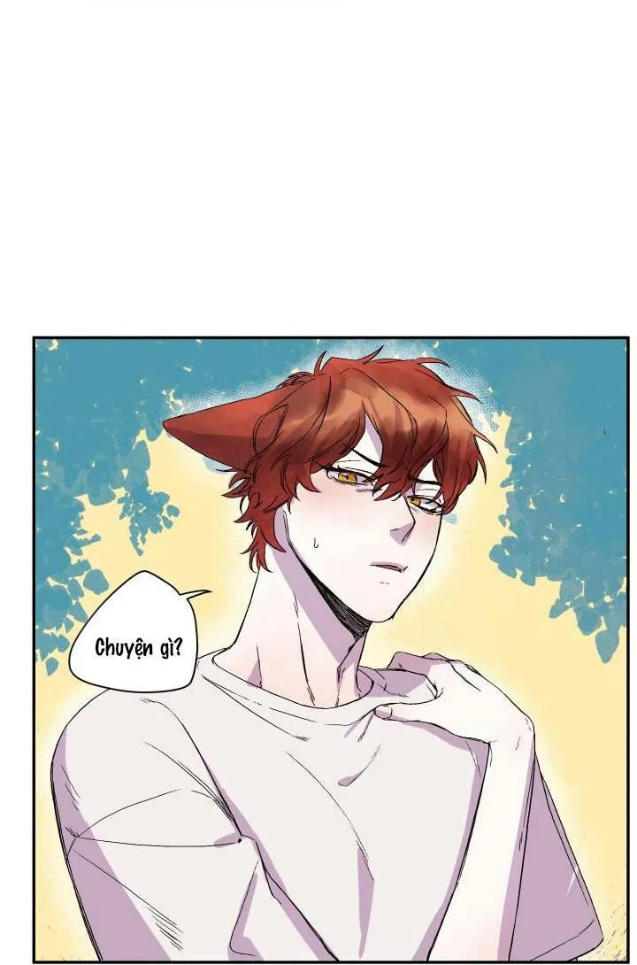 Vẫy Đuôi Chapter 17 Trang 5