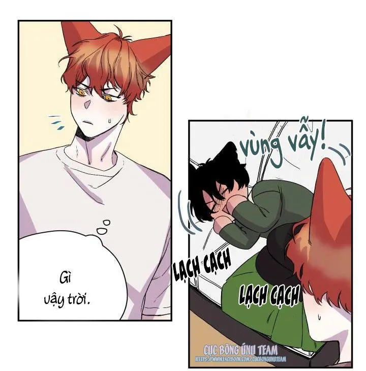 Vẫy Đuôi Chapter 17 Trang 9