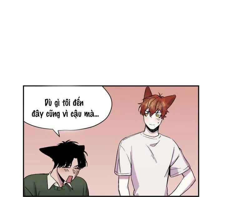 Vẫy Đuôi Chapter 17 Trang 16