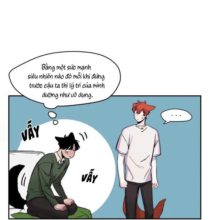 Vẫy Đuôi Chapter 17 Trang 19
