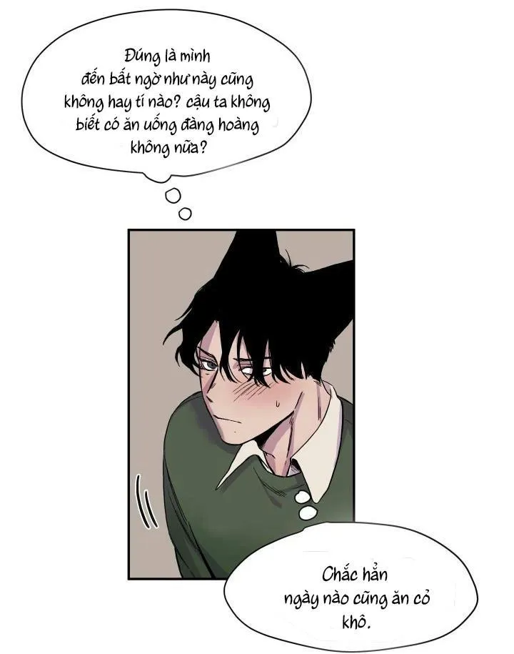 Vẫy Đuôi Chapter 17 Trang 21