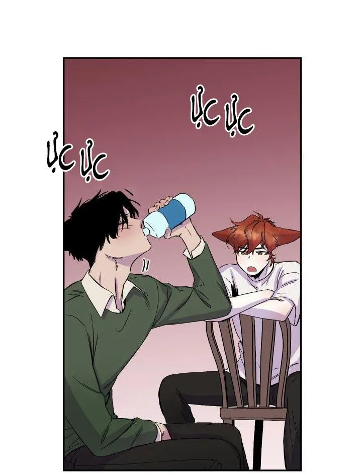 Vẫy Đuôi Chapter 17 Trang 37