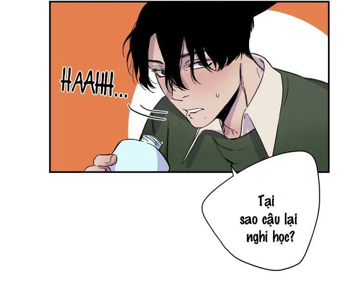 Vẫy Đuôi Chapter 17 Trang 39