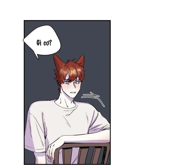 Vẫy Đuôi Chapter 17 Trang 40