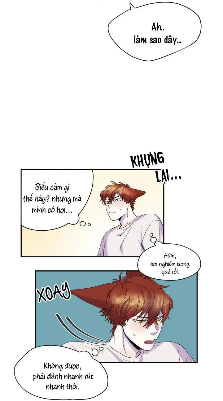 Vẫy Đuôi Chapter 17 Trang 47