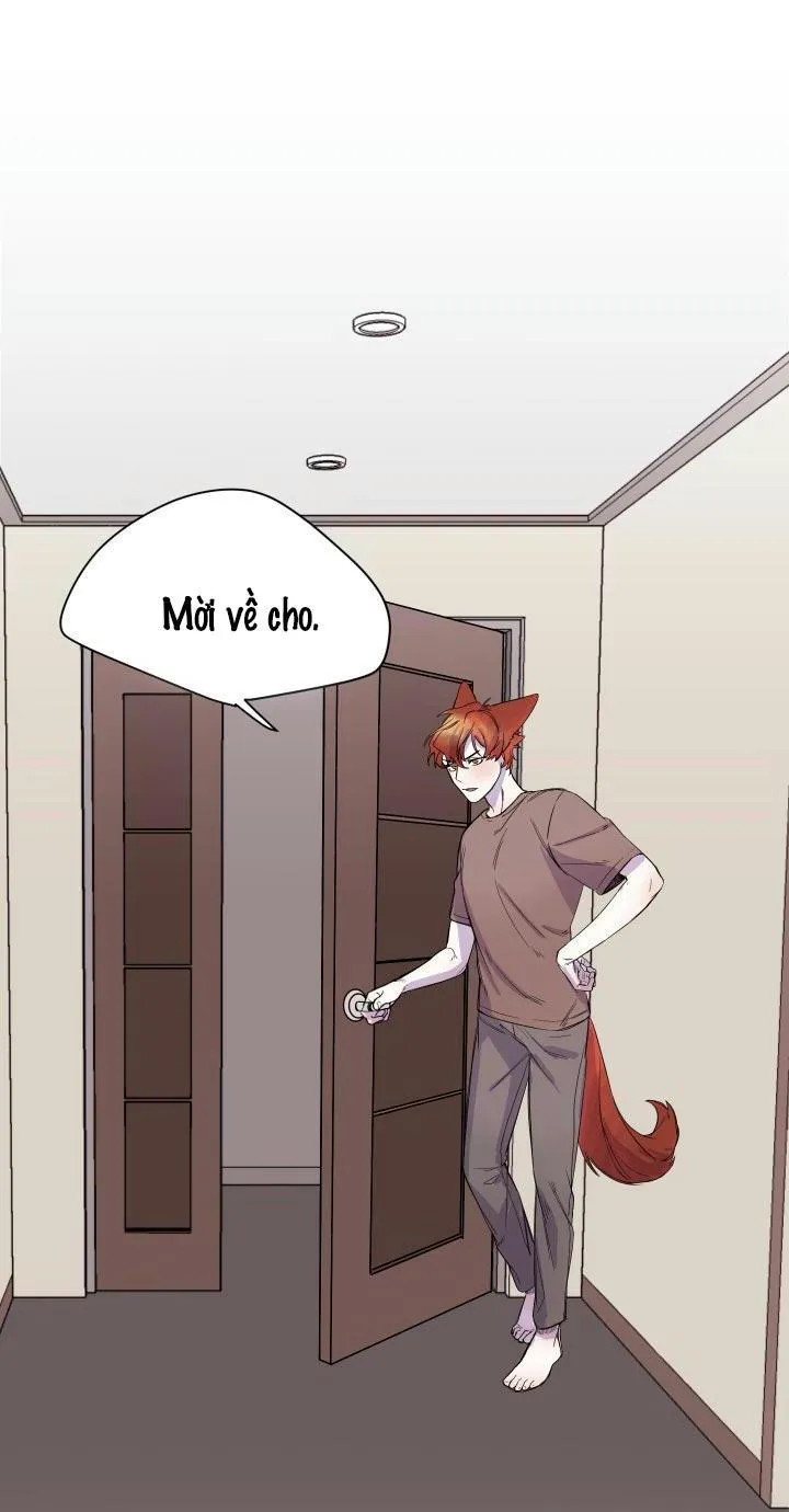 Vẫy Đuôi Chapter 17 Trang 50