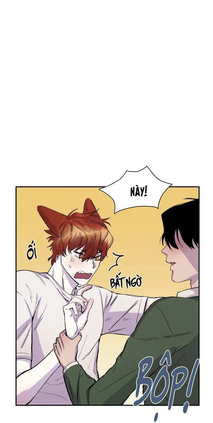 Vẫy Đuôi Chapter 17 Trang 71