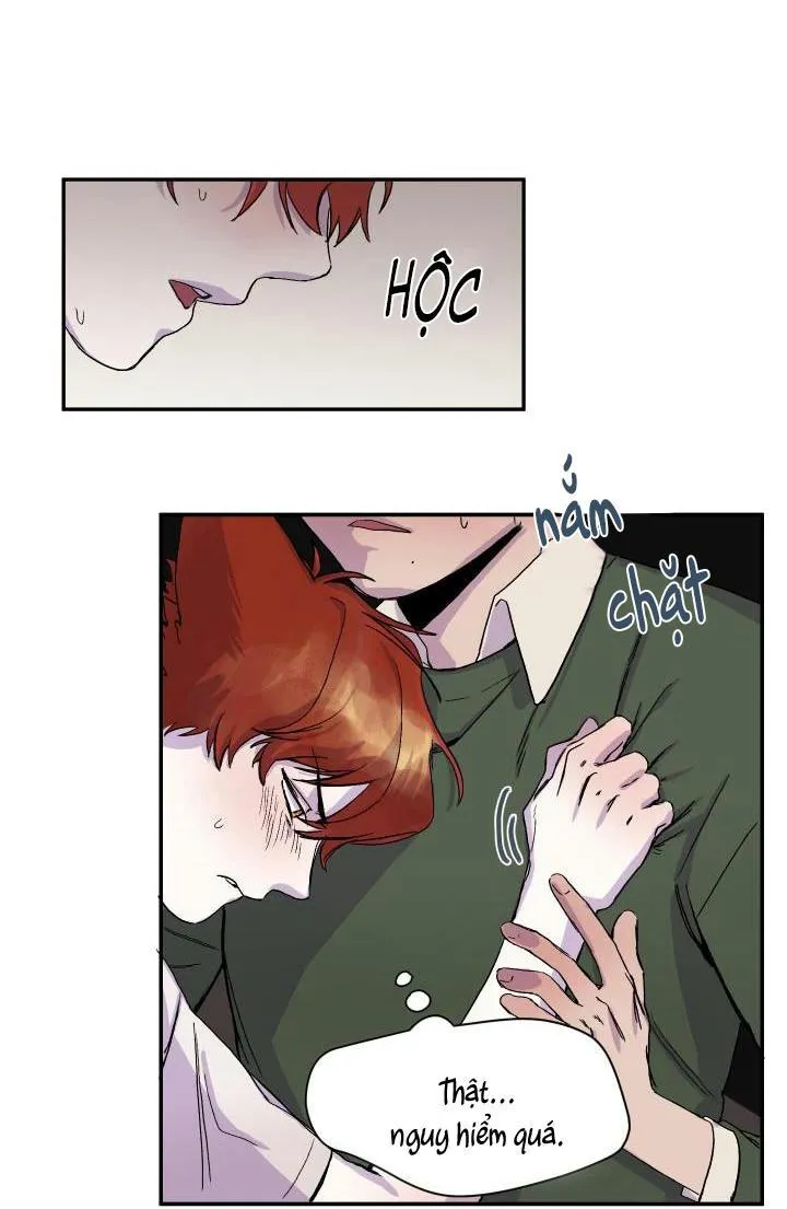 Vẫy Đuôi Chapter 17 Trang 81