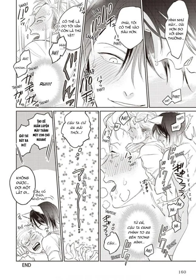 Vết Cắn Ma Cà Rồng Chapter 6 Trang 6