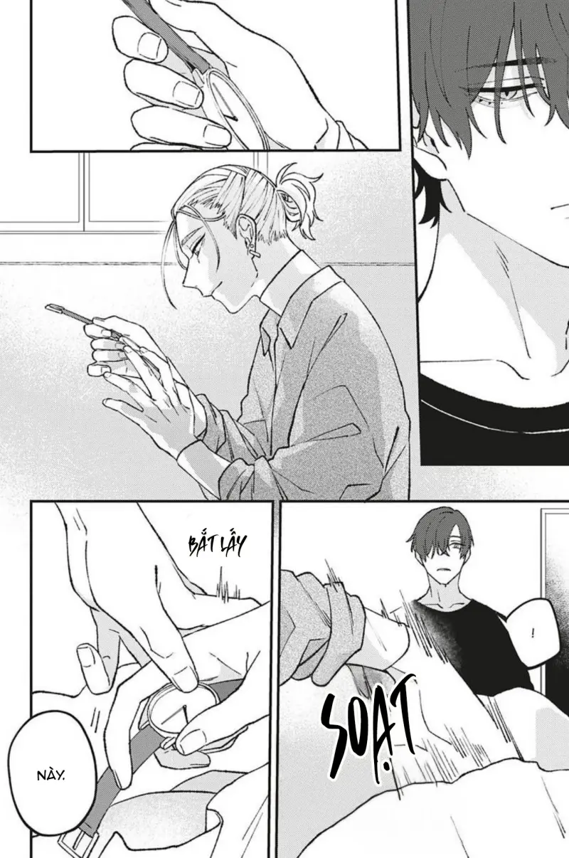 Vết Cắn Và Ánh Huỳnh Thạch Chapter 2 Trang 15