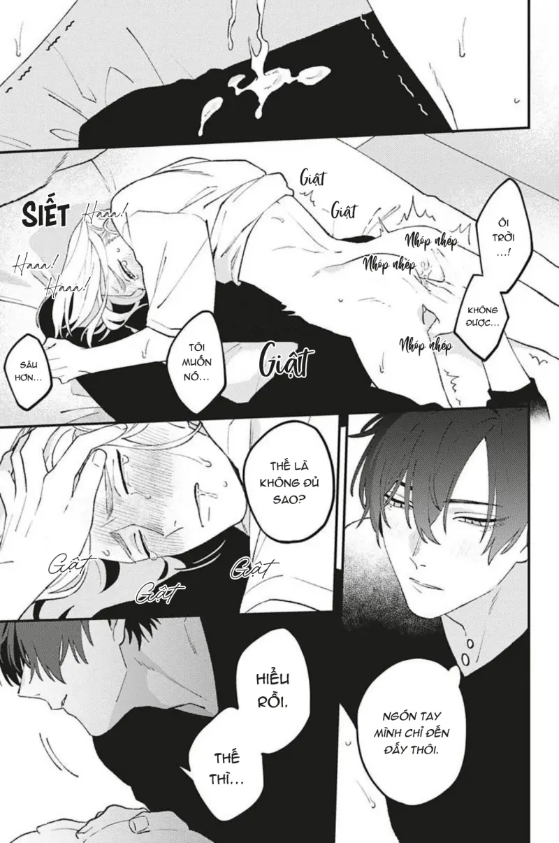 Vết Cắn Và Ánh Huỳnh Thạch Chapter 3 Trang 24