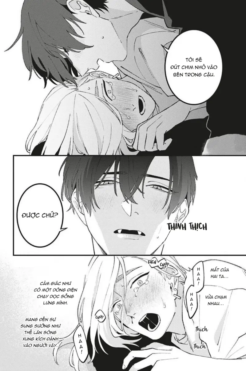 Vết Cắn Và Ánh Huỳnh Thạch Chapter 3 Trang 25