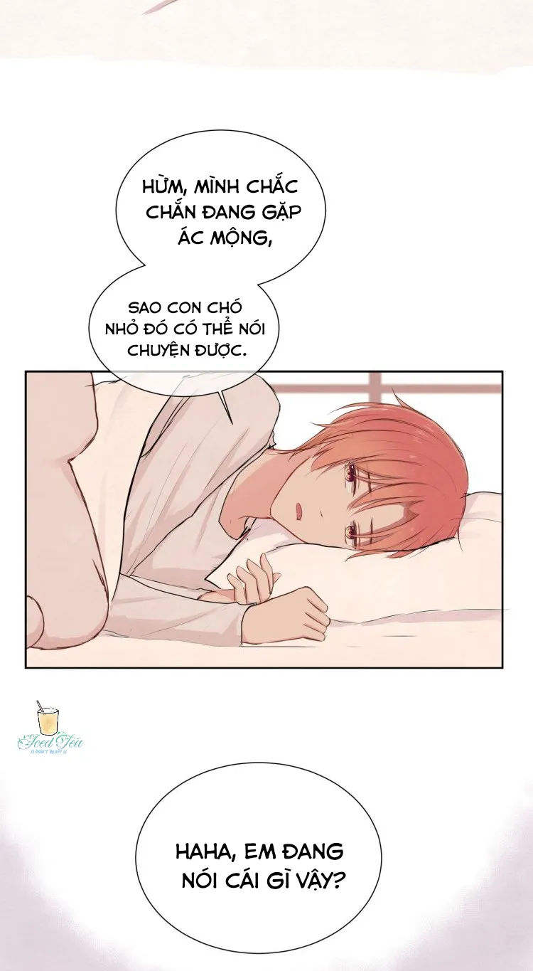 Vết rượu ngọt ngào Chapter 13 Trang 3