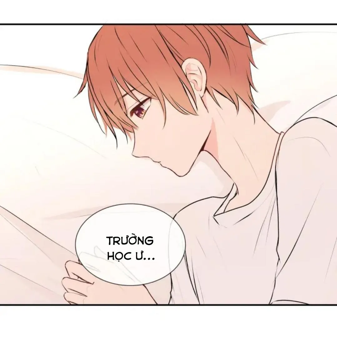 Vết rượu ngọt ngào Chapter 15 Trang 49