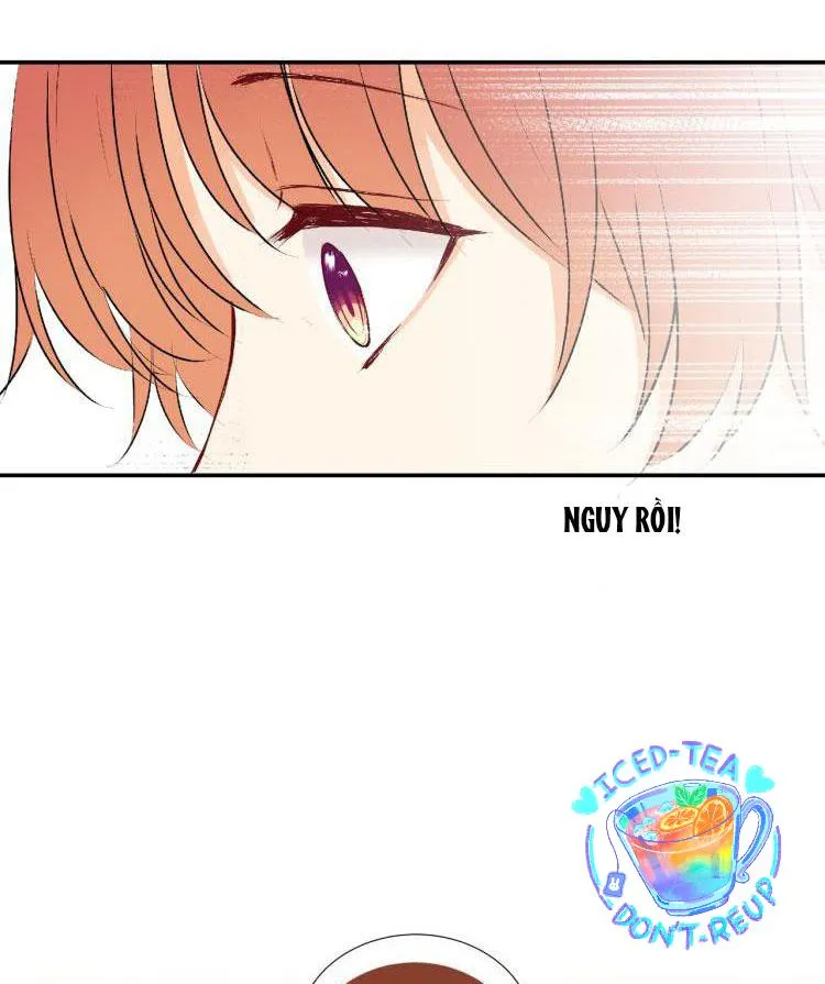 Vết rượu ngọt ngào Chapter 17 Trang 24