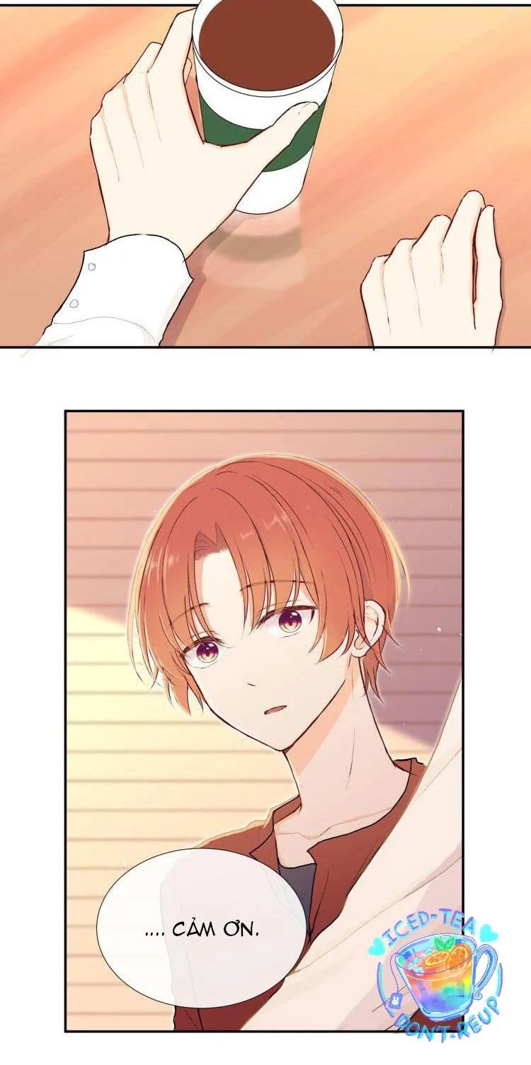 Vết rượu ngọt ngào Chapter 17 Trang 25