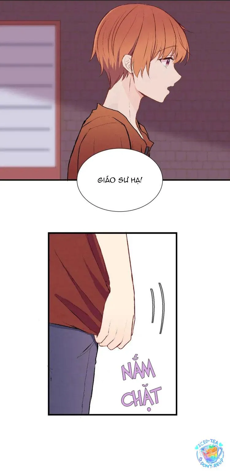 Vết rượu ngọt ngào Chapter 19 Trang 13