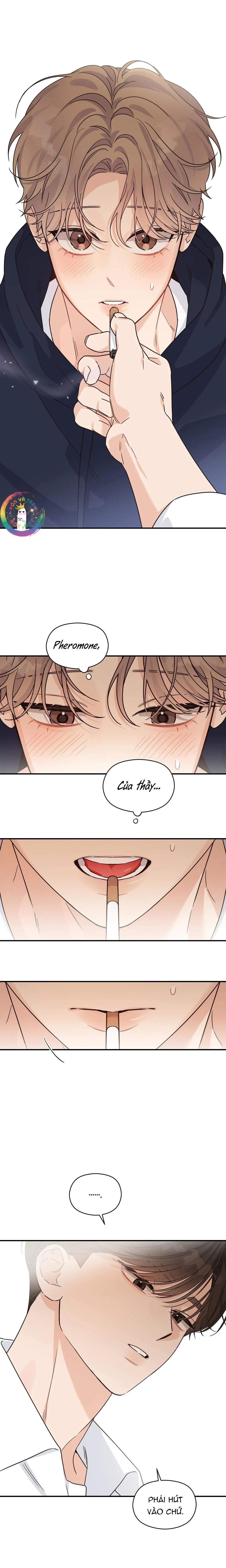 ✿ Vết Thương Alpha ✿ Chapter 15 Trang 13