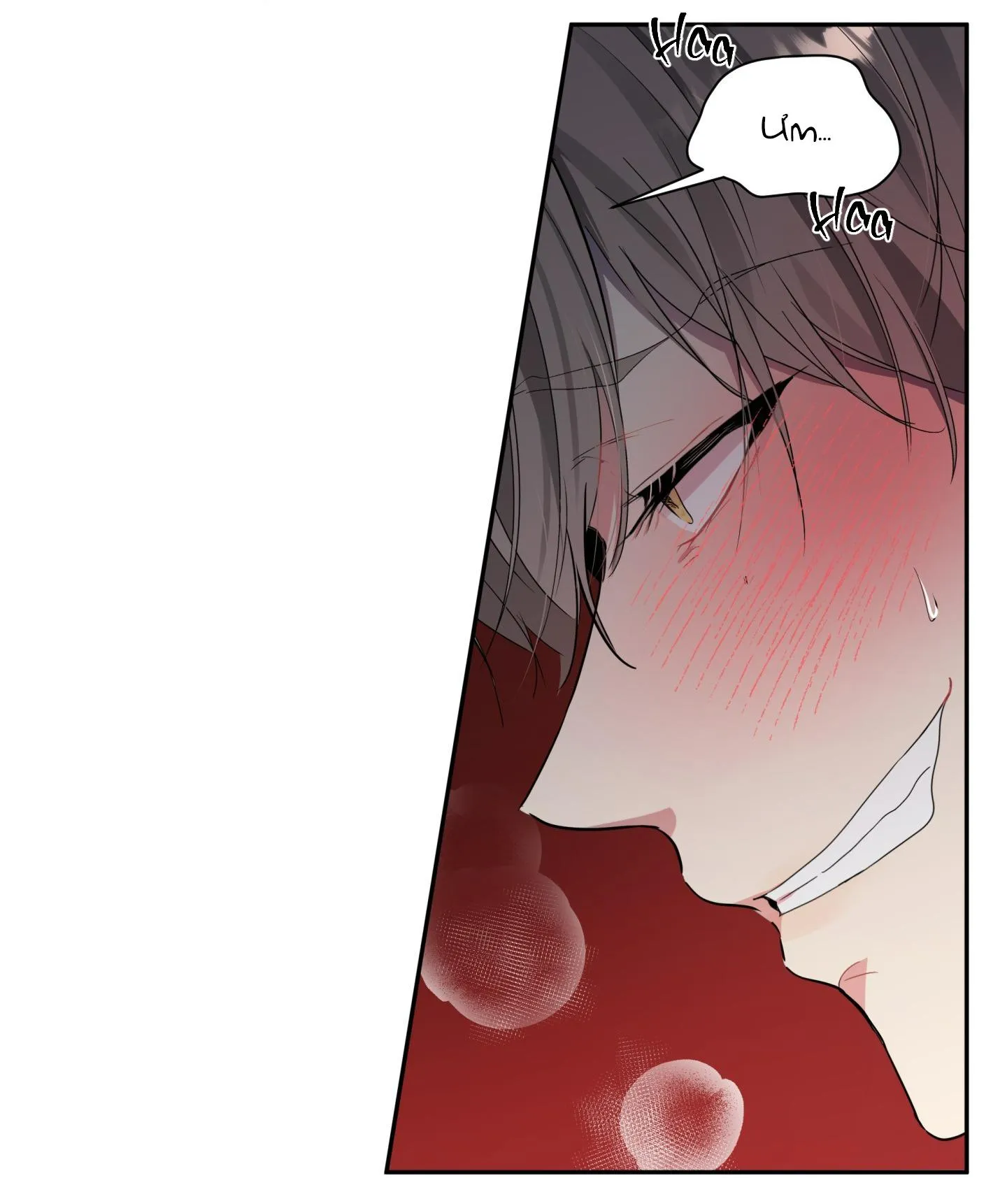 VỊ KHÁCH SAU NHÀ (END) Chapter 1 Trang 131