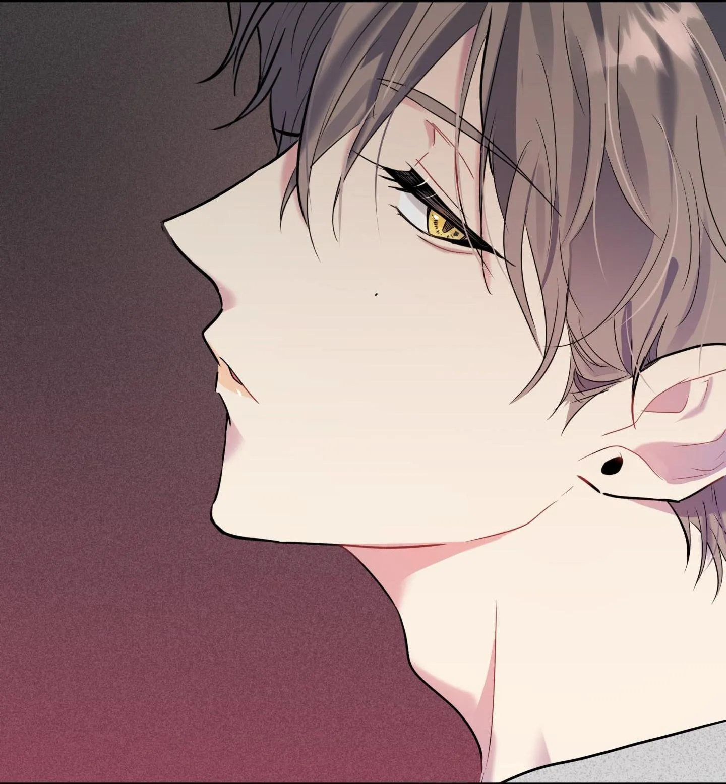 Vị Khách Từ Căn Nhà Phía Sau Chapter 2 Trang 57