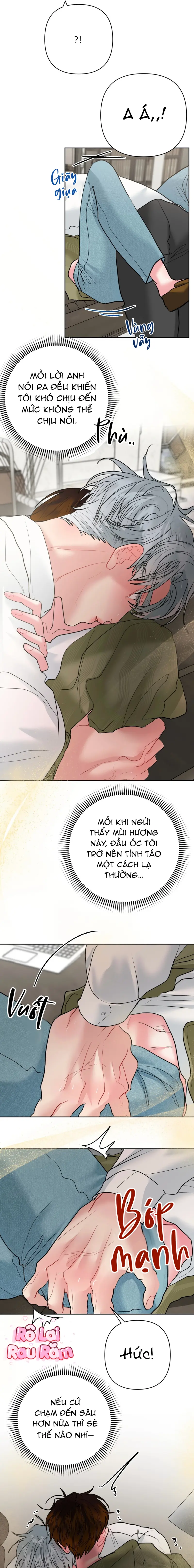 Vị ngọt thanh mát Chapter 11 Trang 3