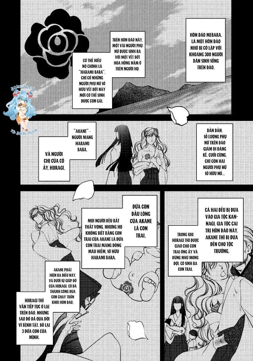 Full Bí Mật Của Hoa Hồng Harami Chapter 2 Trang 3