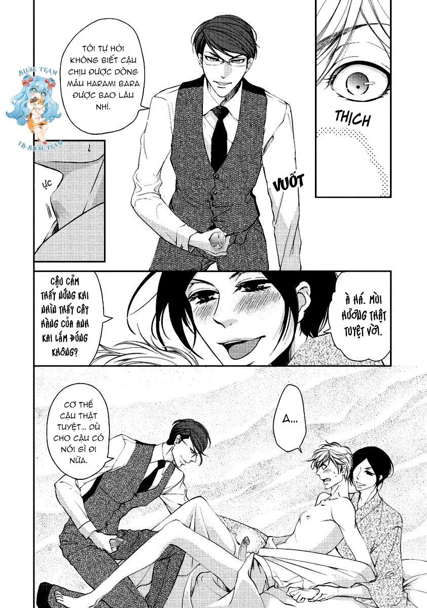 Full Bí Mật Của Hoa Hồng Harami Chapter 2 Trang 11