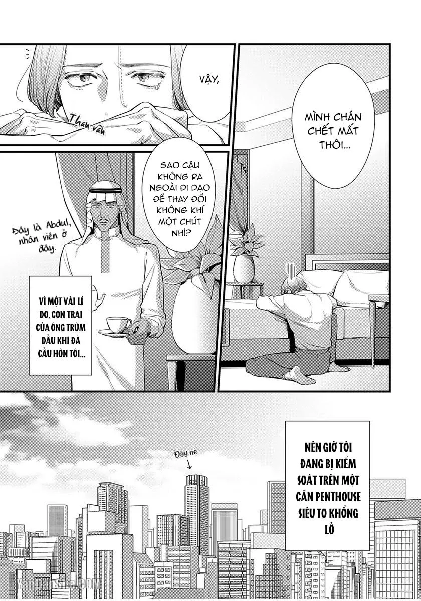 Vị Vua Quyến Rũ Mộng Mơ Về Một Ngàn Lẻ Một Đêm Chapter 2 Trang 4