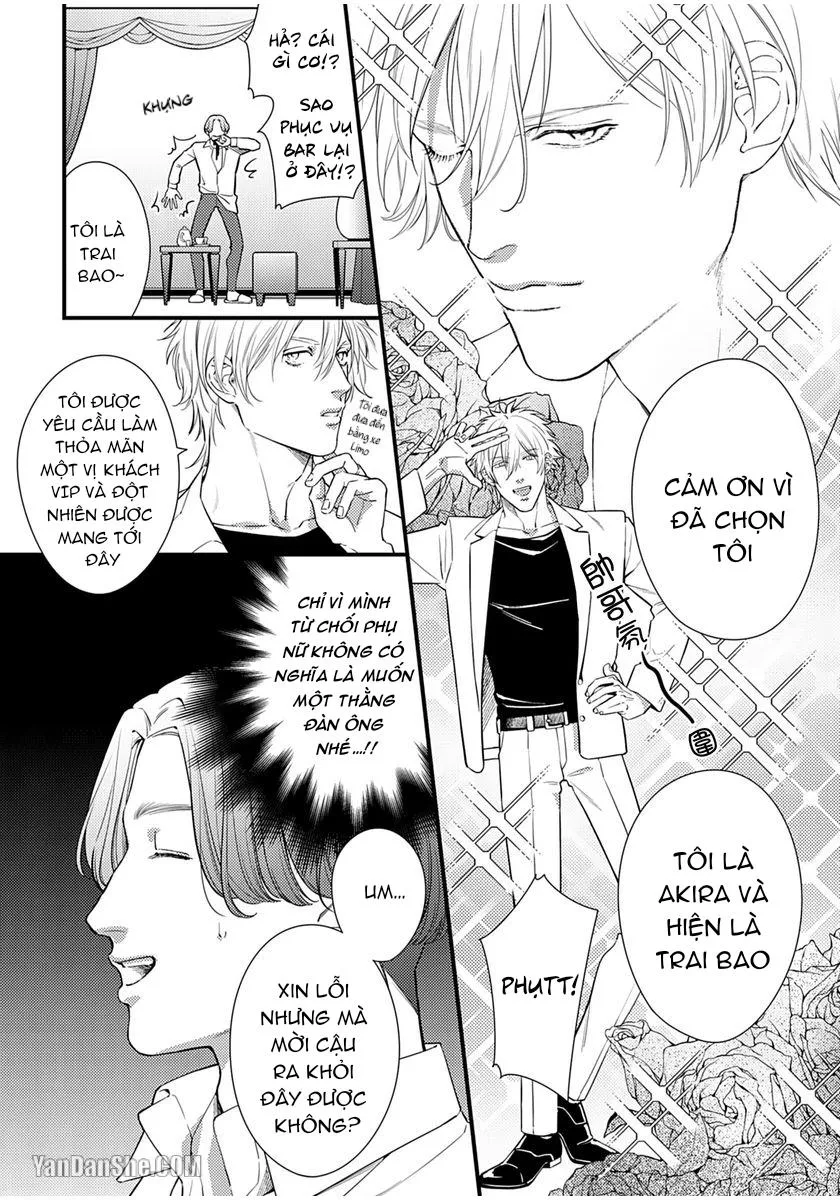 Vị Vua Quyến Rũ Mộng Mơ Về Một Ngàn Lẻ Một Đêm Chapter 2 Trang 9