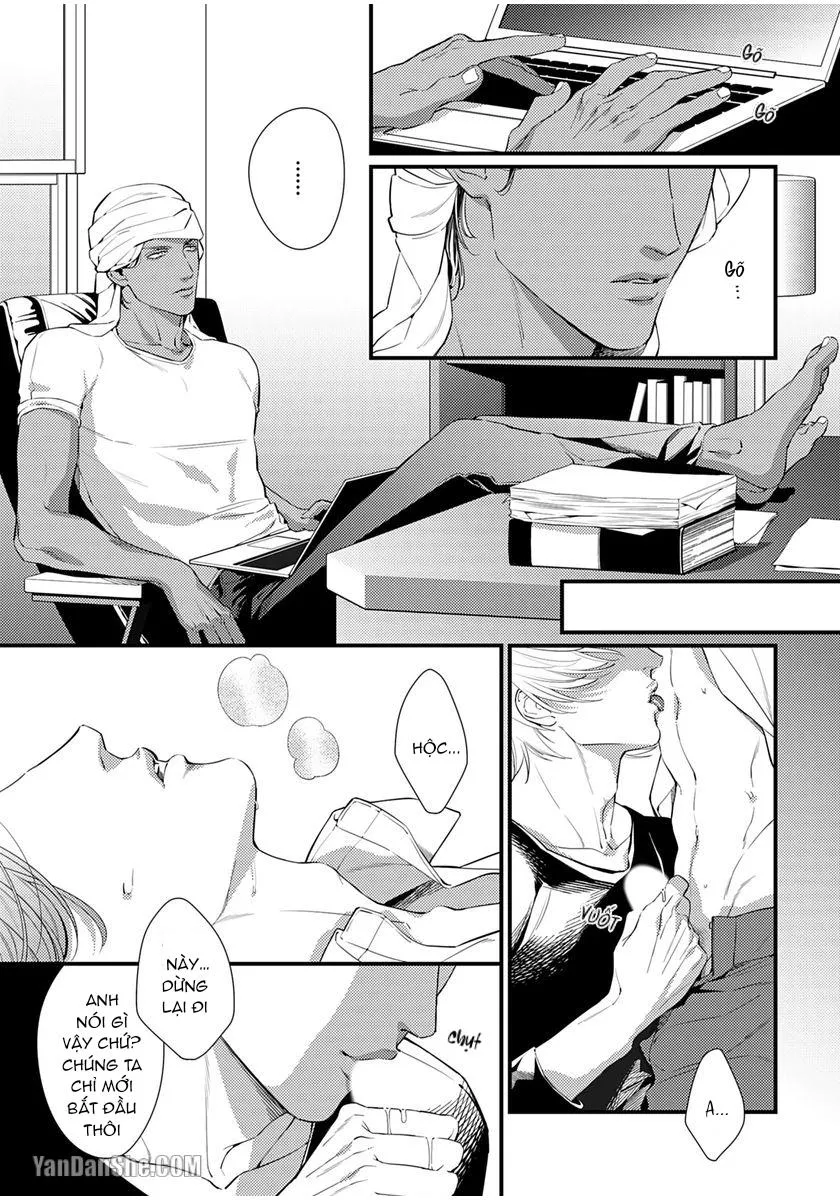 Vị Vua Quyến Rũ Mộng Mơ Về Một Ngàn Lẻ Một Đêm Chapter 2 Trang 12