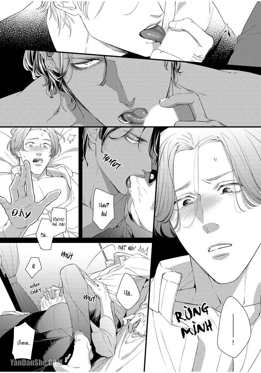 Vị Vua Quyến Rũ Mộng Mơ Về Một Ngàn Lẻ Một Đêm Chapter 2 Trang 13