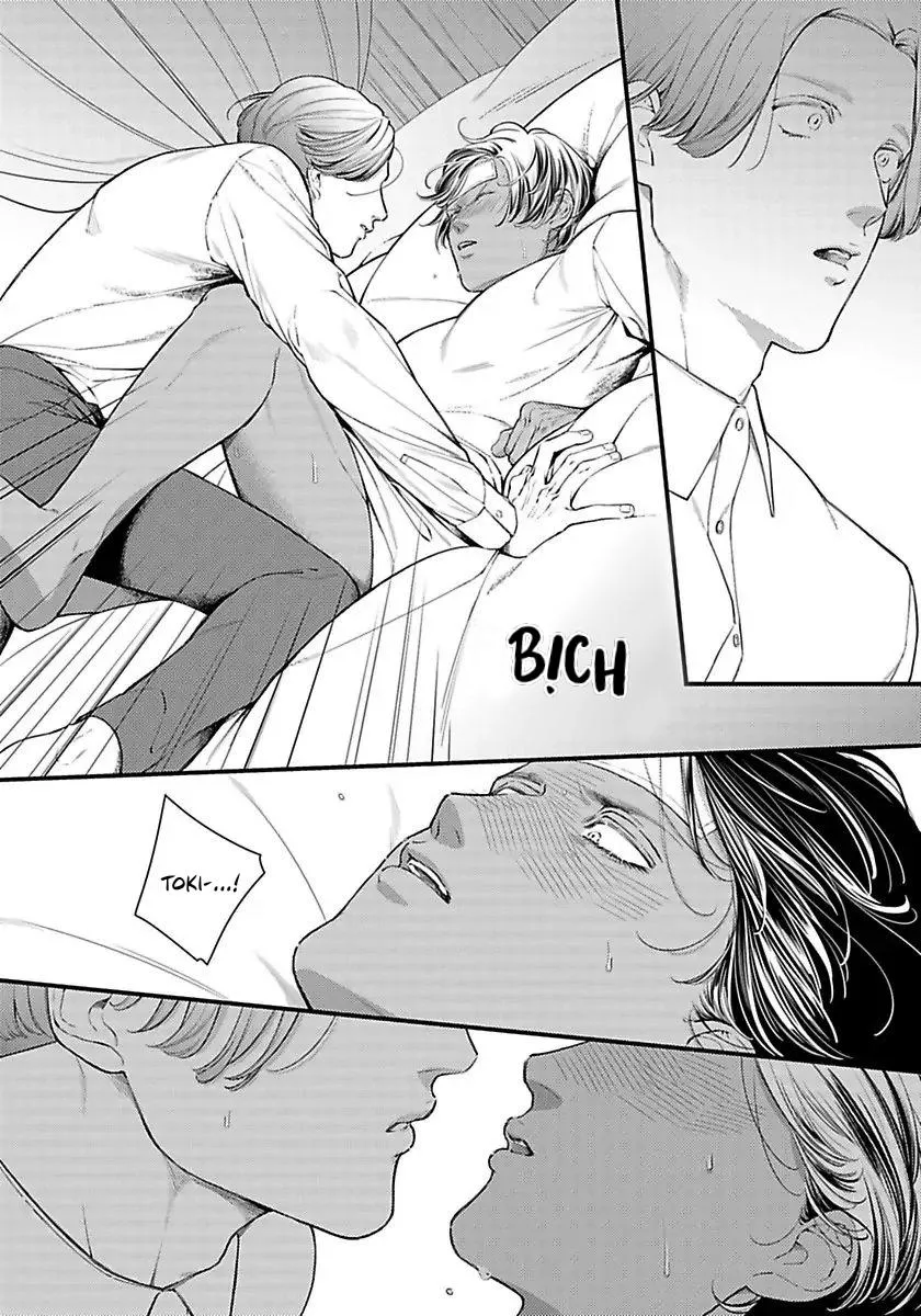 Vị Vua Quyến Rũ Mộng Mơ Về Một Ngàn Lẻ Một Đêm Chapter 3 Trang 20