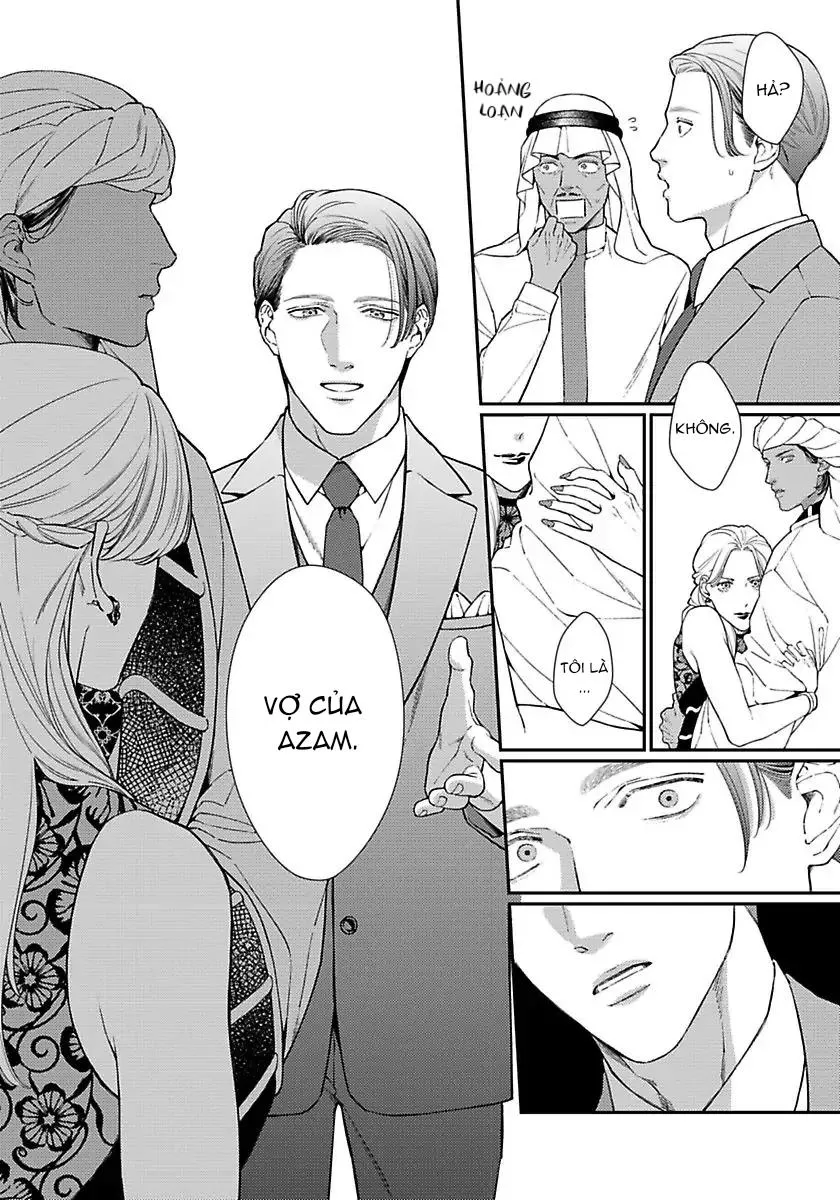 Vị Vua Quyến Rũ Mộng Mơ Về Một Ngàn Lẻ Một Đêm Chapter 4 Trang 17