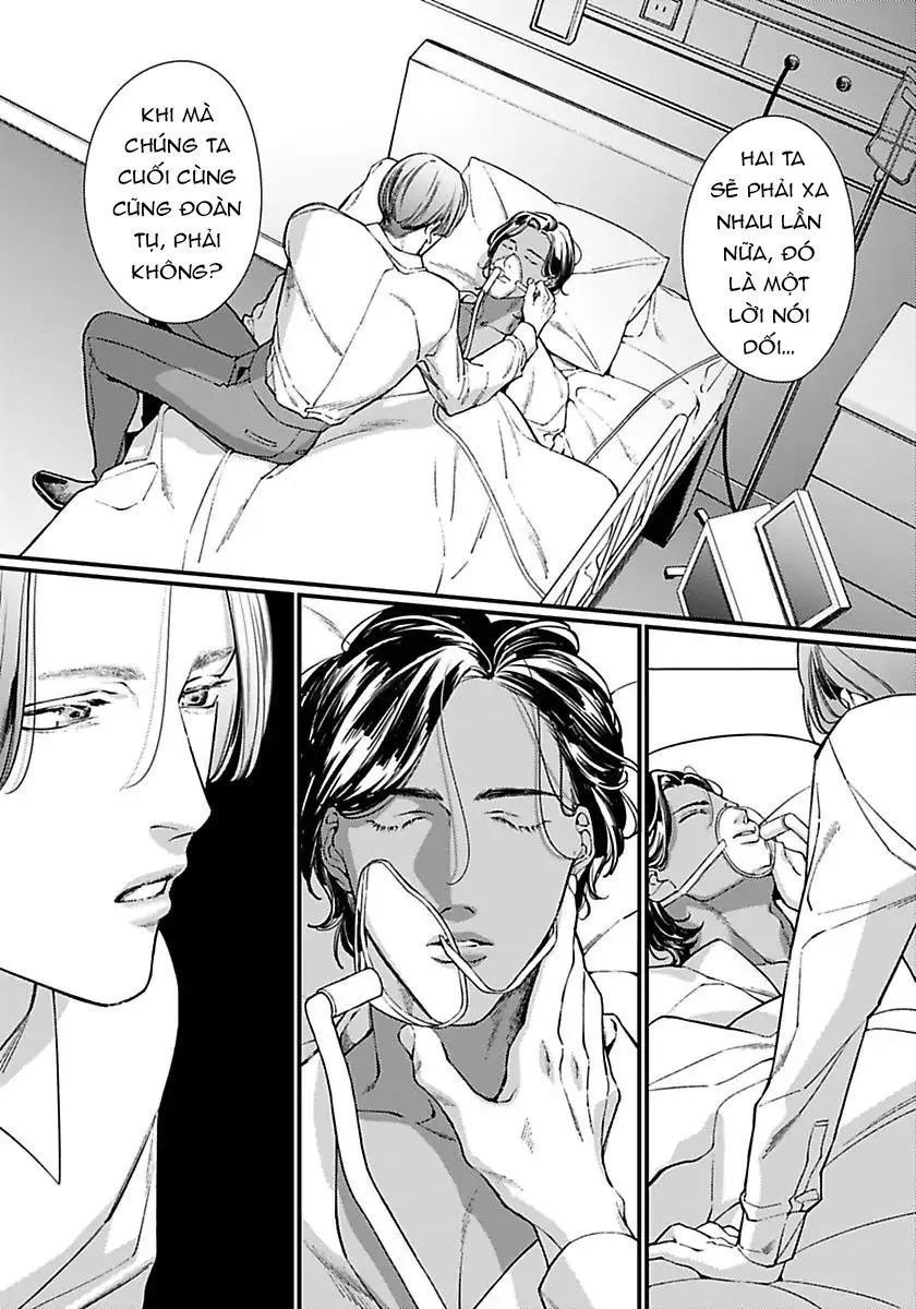 Vị Vua Quyến Rũ Mộng Mơ Về Một Ngàn Lẻ Một Đêm Chapter 5 Trang 7