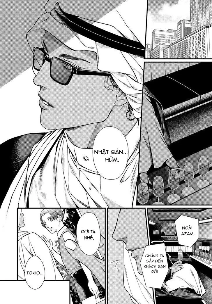 Vị Vua Quyến Rũ Mộng Mơ Về Một Ngàn Lẻ Một Đêm Chapter 1 Trang 10