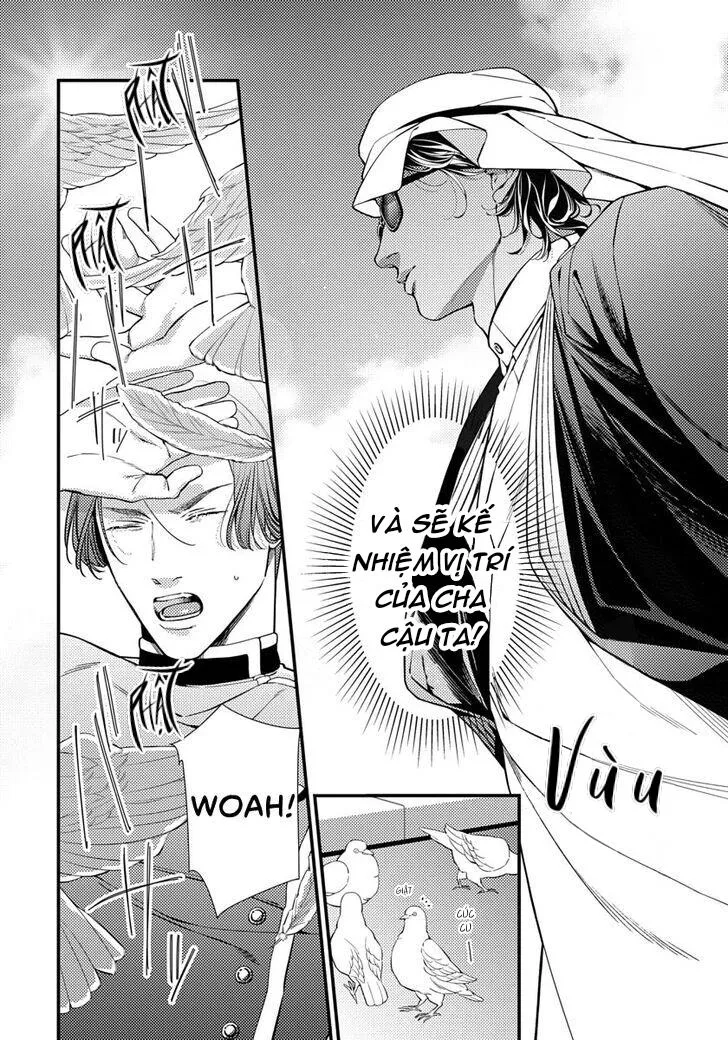 Vị Vua Quyến Rũ Mộng Mơ Về Một Ngàn Lẻ Một Đêm Chapter 1 Trang 12