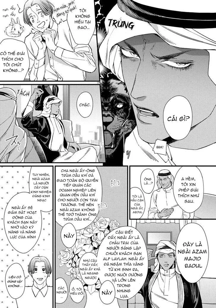 Vị Vua Quyến Rũ Mộng Mơ Về Một Ngàn Lẻ Một Đêm Chapter 1 Trang 18
