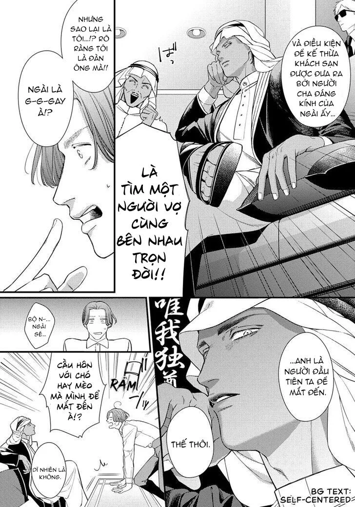 Vị Vua Quyến Rũ Mộng Mơ Về Một Ngàn Lẻ Một Đêm Chapter 1 Trang 19