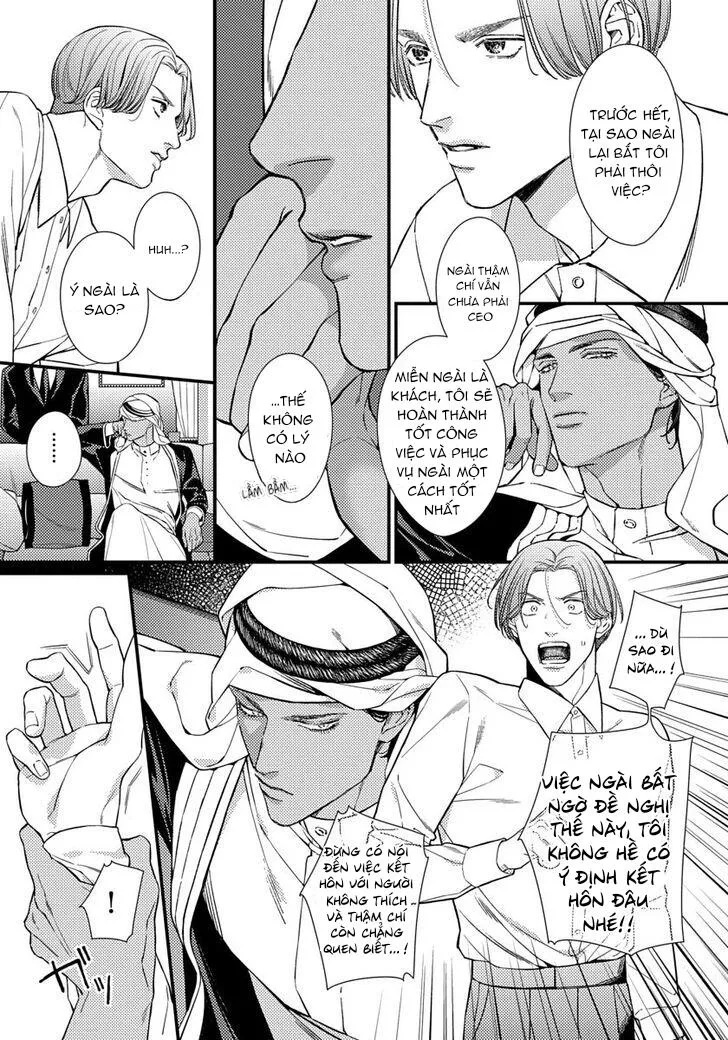 Vị Vua Quyến Rũ Mộng Mơ Về Một Ngàn Lẻ Một Đêm Chapter 1 Trang 20