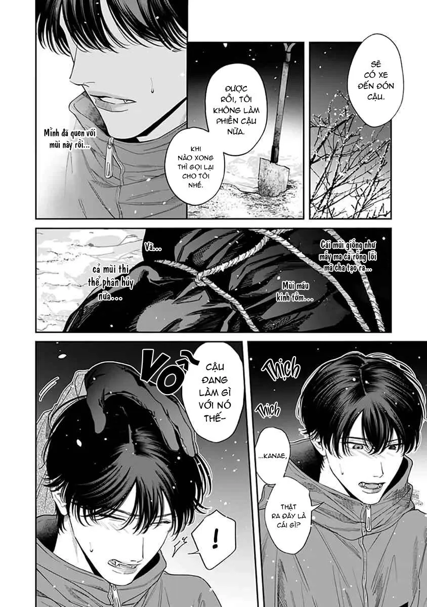 Viên Grarnet Trong Bóng Tối Chapter 3 Trang 17