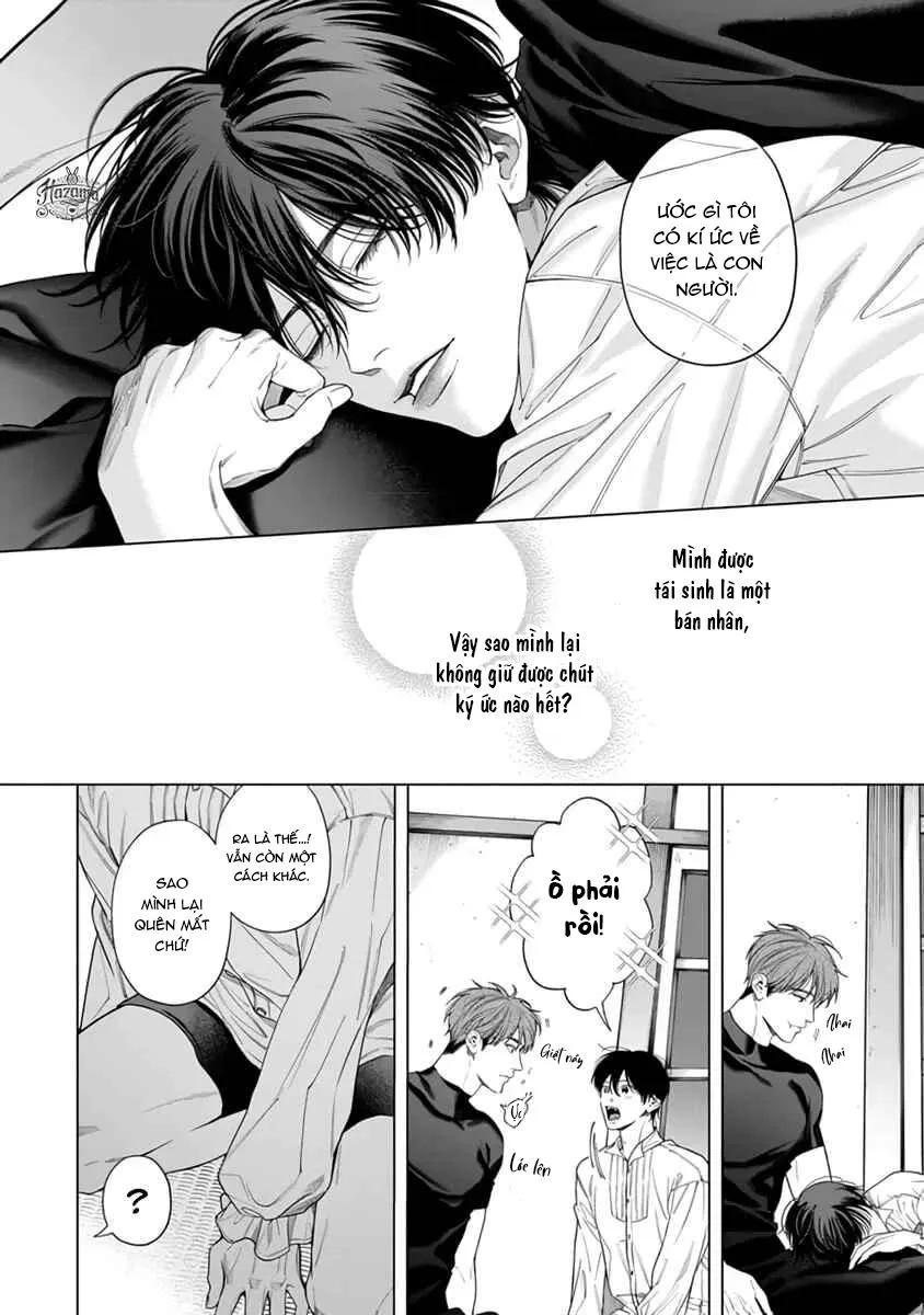 Viên Grarnet Trong Bóng Tối Chapter 4 Trang 16