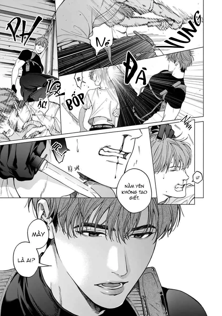 Viên Grarnet Trong Bóng Tối Chapter 5 Trang 19