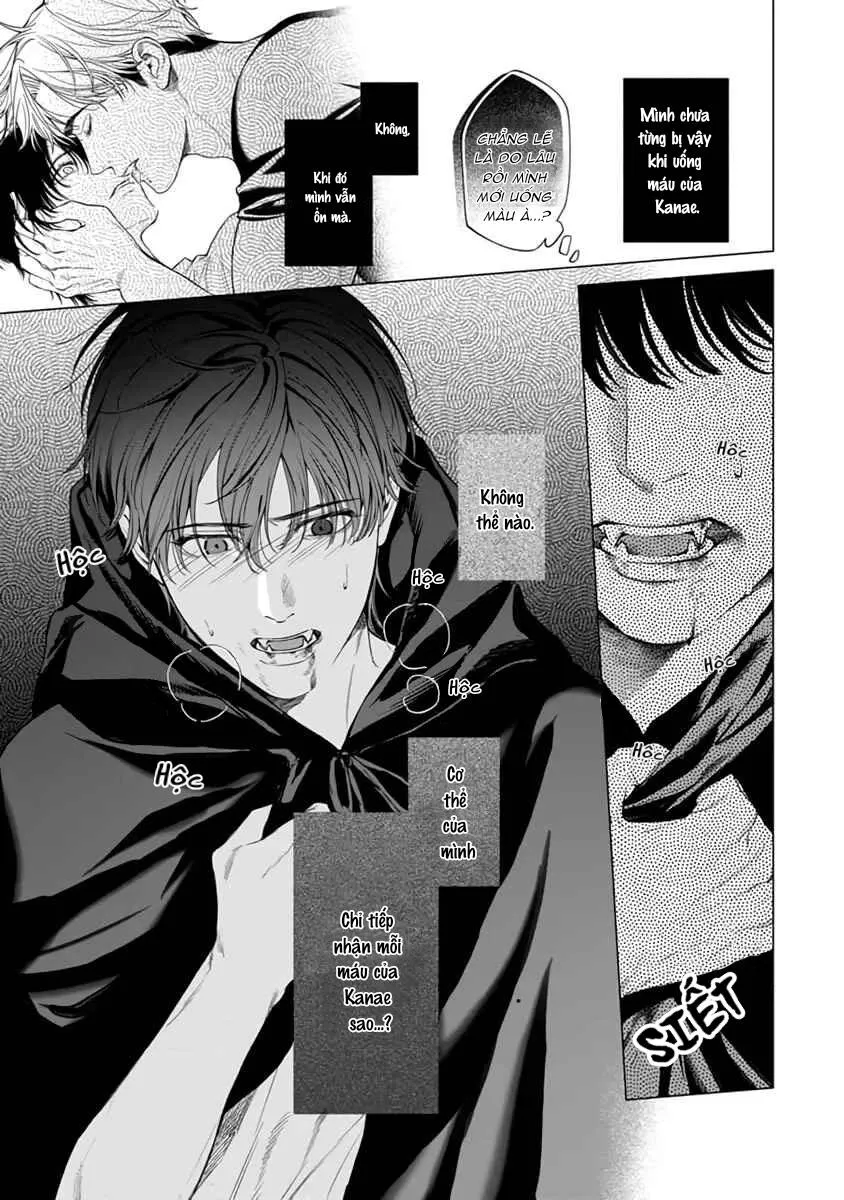 Viên Grarnet Trong Bóng Tối Chapter 6 Trang 13