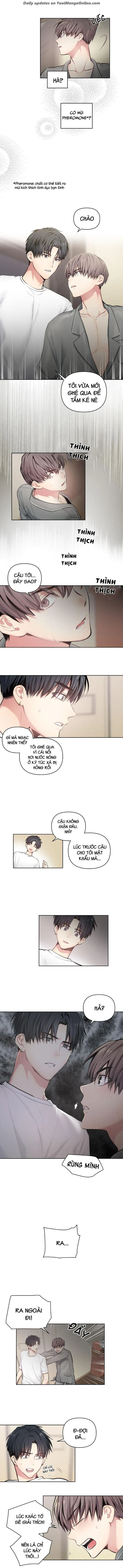 VIÊN THUỐC GIÚP TÔI TRỞ THÀNH OMEGA Chapter 2 Trang 3