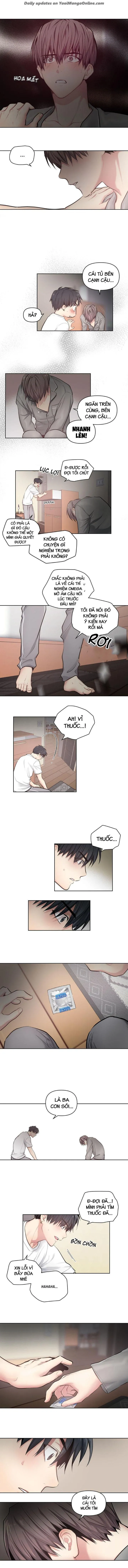 VIÊN THUỐC GIÚP TÔI TRỞ THÀNH OMEGA Chapter 2 Trang 5